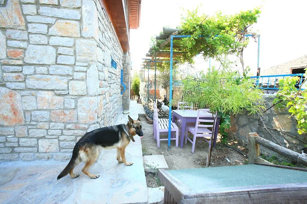Halise Apart Kizlan Homestay